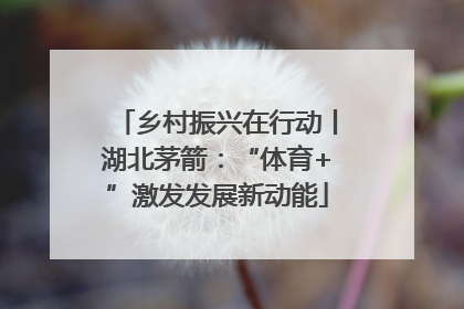 乡村振兴在行动丨湖北茅箭：“体育+”激发发展新动能