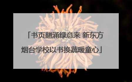 书页翻涌绿意来 新东方烟台学校以书换蔬暖童心