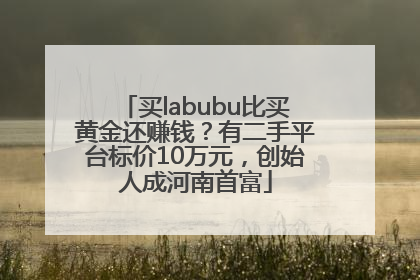 买labubu比买黄金还赚钱？有二手平台标价10万元，创始人成河南首富