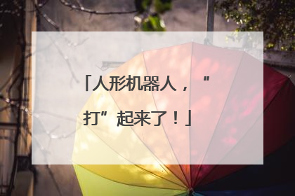 人形机器人，“打”起来了！