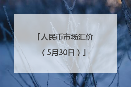 人民币市场汇价（5月30日）