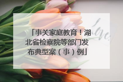 事关家庭教育！湖北省检察院等部门发布典型案（事）例