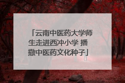 云南中医药大学师生走进西冲小学 播撒中医药文化种子
