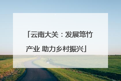 云南大关：发展筇竹产业 助力乡村振兴