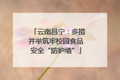 云南昌宁：多措并举筑牢校园食品安全“防护墙”