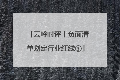 云岭时评丨负面清单划定行业红线③