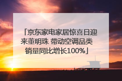 京东家电家居惊喜日迎来董明珠 带动空调品类销量同比增长100%