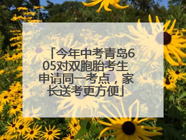 今年中考青岛605对双胞胎考生申请同一考点，家长送考更方便