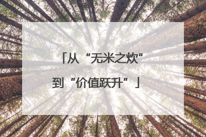 从“无米之炊”到“价值跃升”