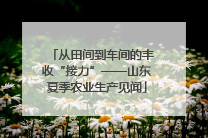从田间到车间的丰收“接力”——山东夏季农业生产见闻