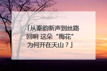 从秦韵新声到丝路回响 这朵“梅花”为何开在天山？
