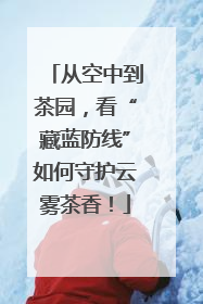 从空中到茶园，看“藏蓝防线”如何守护云雾茶香！