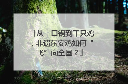 从一口锅到千只鸡，非遗东安鸡如何“飞”向全国？