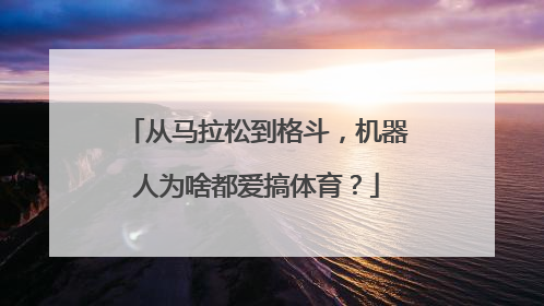 从马拉松到格斗，机器人为啥都爱搞体育？