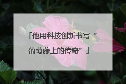 他用科技创新书写“葡萄藤上的传奇”