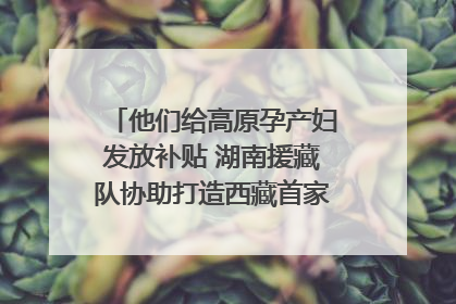 他们给高原孕产妇发放补贴 湖南援藏队协助打造西藏首家高原产儿协同中心
