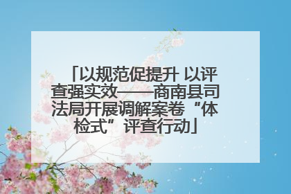 以规范促提升 以评查强实效——商南县司法局开展调解案卷“体检式”评查行动