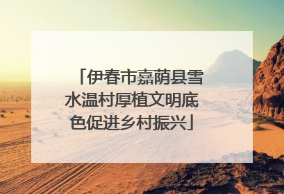 伊春市嘉荫县雪水温村厚植文明底色促进乡村振兴
