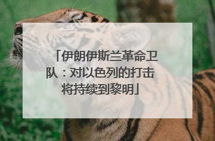 伊朗伊斯兰革命卫队：对以色列的打击将持续到黎明