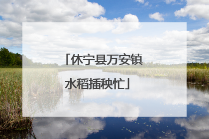 休宁县万安镇水稻插秧忙