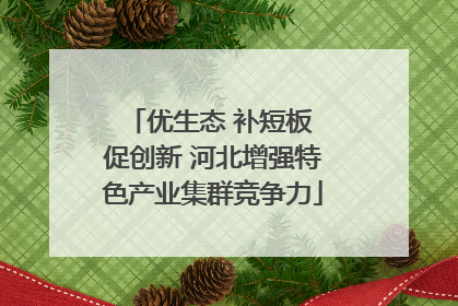 优生态 补短板 促创新 河北增强特色产业集群竞争力