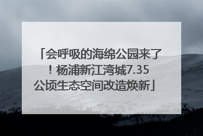 会呼吸的海绵公园来了！杨浦新江湾城7.35公顷生态空间改造焕新