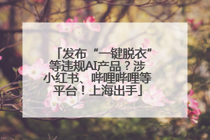 发布“一键脱衣”等违规AI产品？涉小红书、哔哩哔哩等平台！上海出手