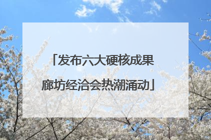 发布六大硬核成果 廊坊经洽会热潮涌动