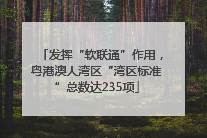 发挥“软联通”作用，粤港澳大湾区“湾区标准”总数达235项
