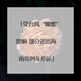 受台风“蝴蝶”影响 部分进出海南岛列车停运