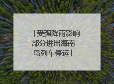 受强降雨影响 部分进出海南岛列车停运