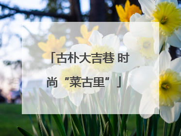 古朴大吉巷 时尚“菜古里”