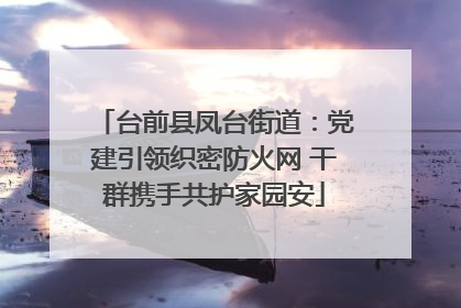 台前县凤台街道：党建引领织密防火网 干群携手共护家园安