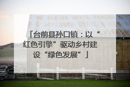 台前县孙口镇：以“红色引擎”驱动乡村建设“绿色发展”