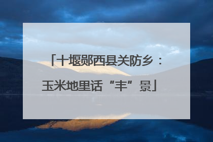 十堰郧西县关防乡：玉米地里话“丰”景