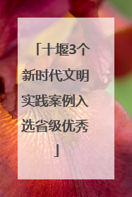 十堰3个新时代文明实践案例入选省级优秀