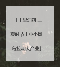 千里追耕·三夏时节丨小小树莓拉动大产业