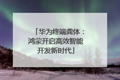 华为终端龚体：鸿蒙开启高效智能开发新时代