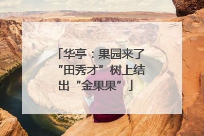 华亭：果园来了“田秀才”树上结出“金果果”