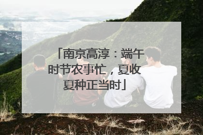 南京高淳：端午时节农事忙，夏收夏种正当时