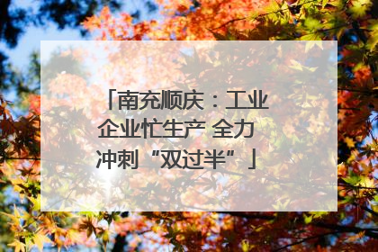 南充顺庆：工业企业忙生产 全力冲刺“双过半”