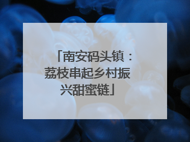南安码头镇：荔枝串起乡村振兴甜蜜链