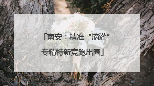南安：精准“滴灌”专精特新竞跑出圈