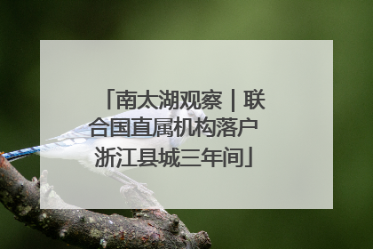 南太湖观察｜联合国直属机构落户浙江县城三年间