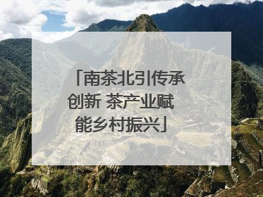 南茶北引传承创新 茶产业赋能乡村振兴