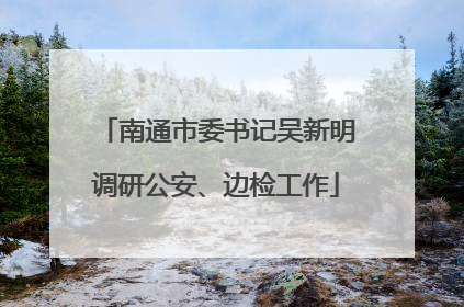 南通市委书记吴新明调研公安、边检工作