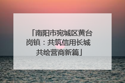 南阳市宛城区黄台岗镇：共筑信用长城 共绘营商新篇