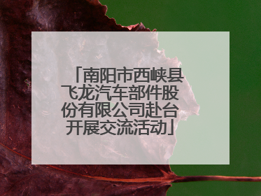 南阳市西峡县飞龙汽车部件股份有限公司赴台开展交流活动
