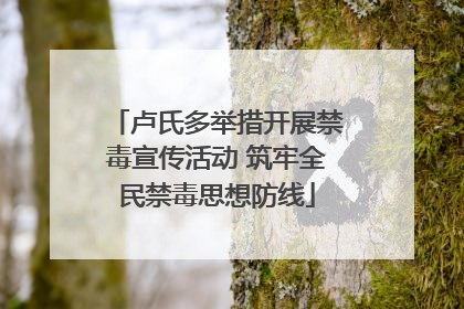卢氏多举措开展禁毒宣传活动 筑牢全民禁毒思想防线