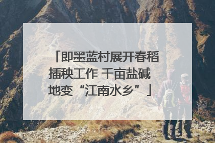 即墨蓝村展开春稻插秧工作 千亩盐碱地变“江南水乡”